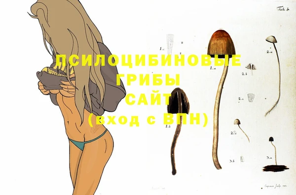 стаф Балабаново