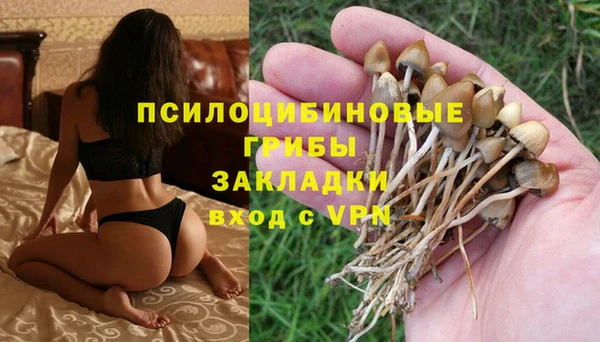 стаф Балабаново
