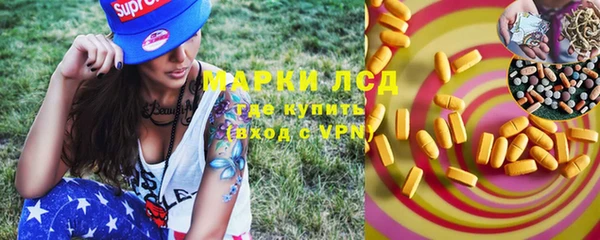 ПСИЛОЦИБИНОВЫЕ ГРИБЫ Балахна