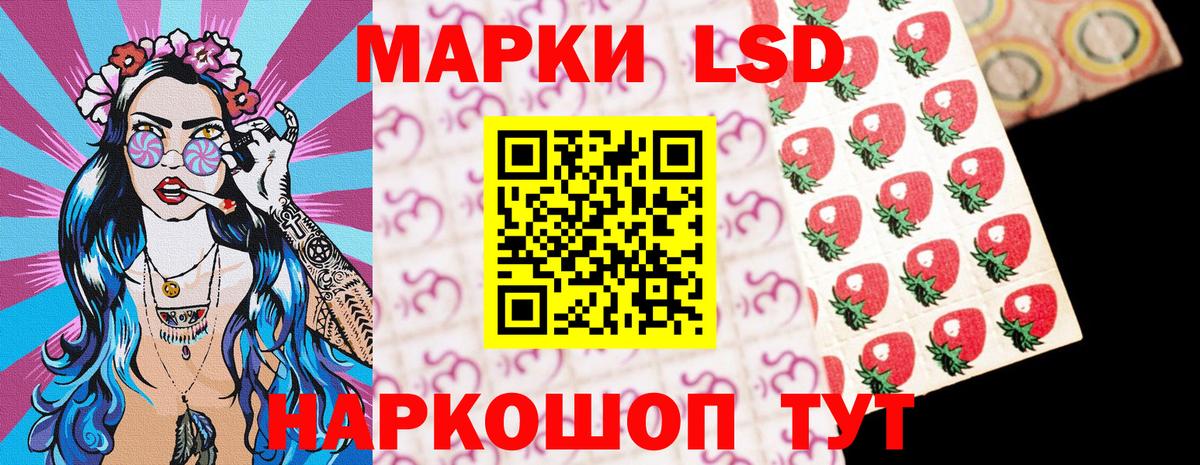 Вольск  Наркотические марки 1,5мг  Вход с VPN  Наркотические марки 1,5мг 