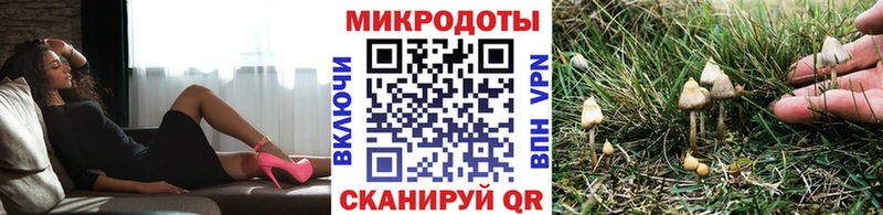 Галлюциногенные грибы MAGIC MUSHROOMS  Вольск 