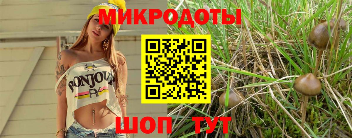 Галлюциногенные грибы прущие грибы  Вход с VPN  Псилоцибиновые грибы GOLDEN TEACHER  Вольск 